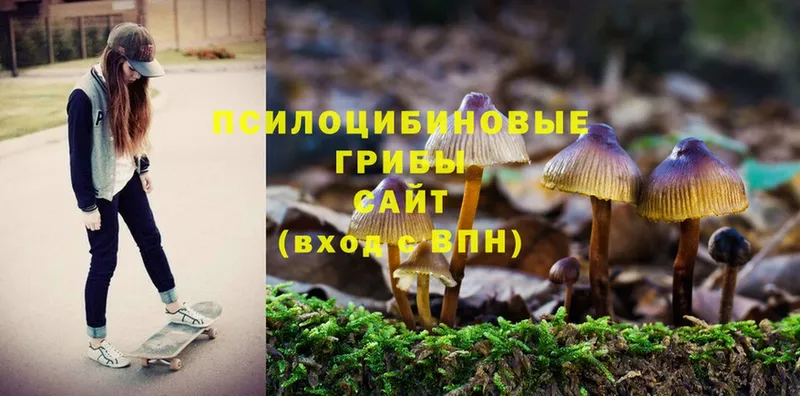 Галлюциногенные грибы MAGIC MUSHROOMS  где найти   Игра 